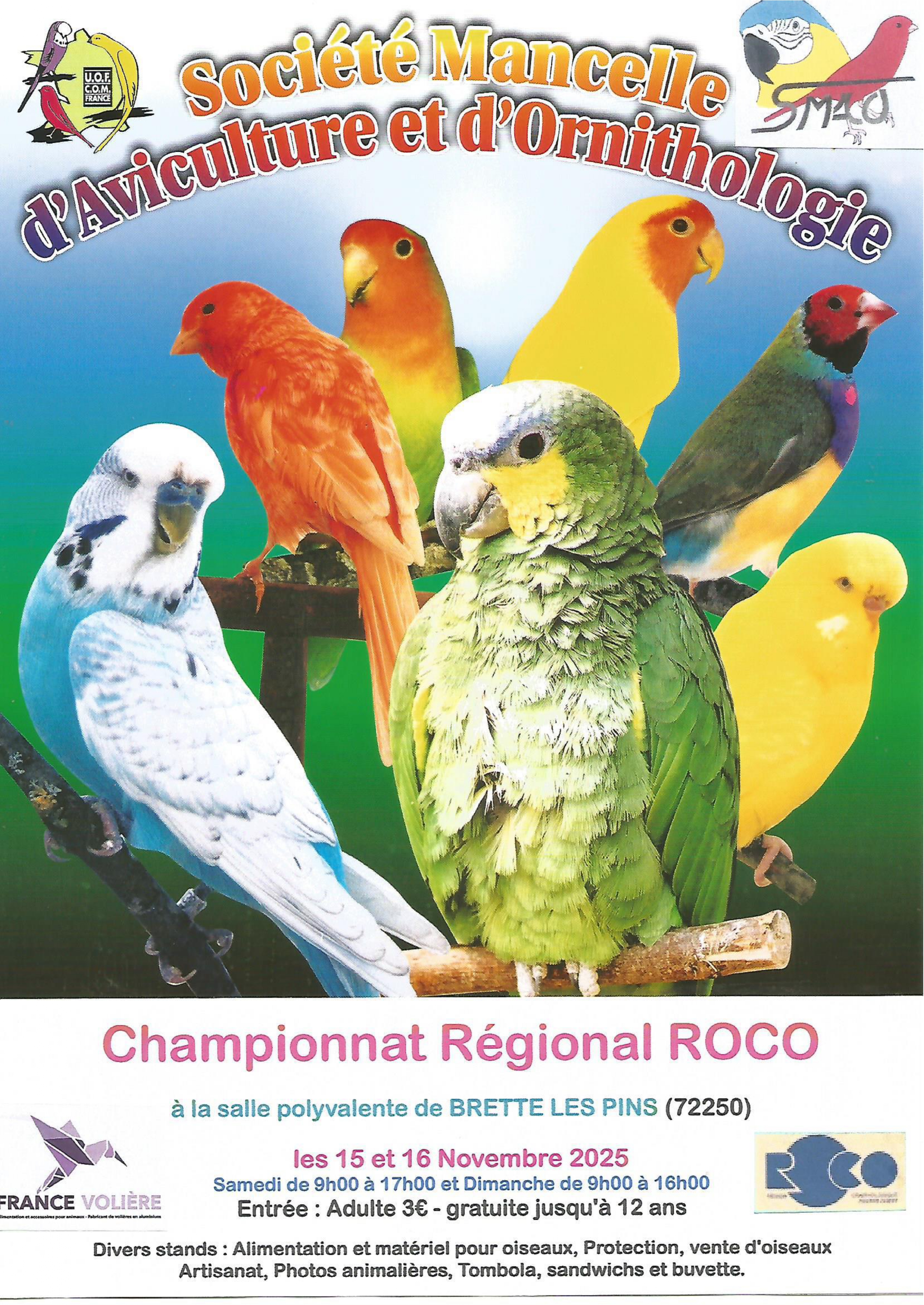 Concours d'oiseaux