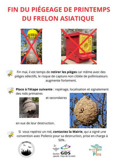FIN du piegeage frelon asiatique site