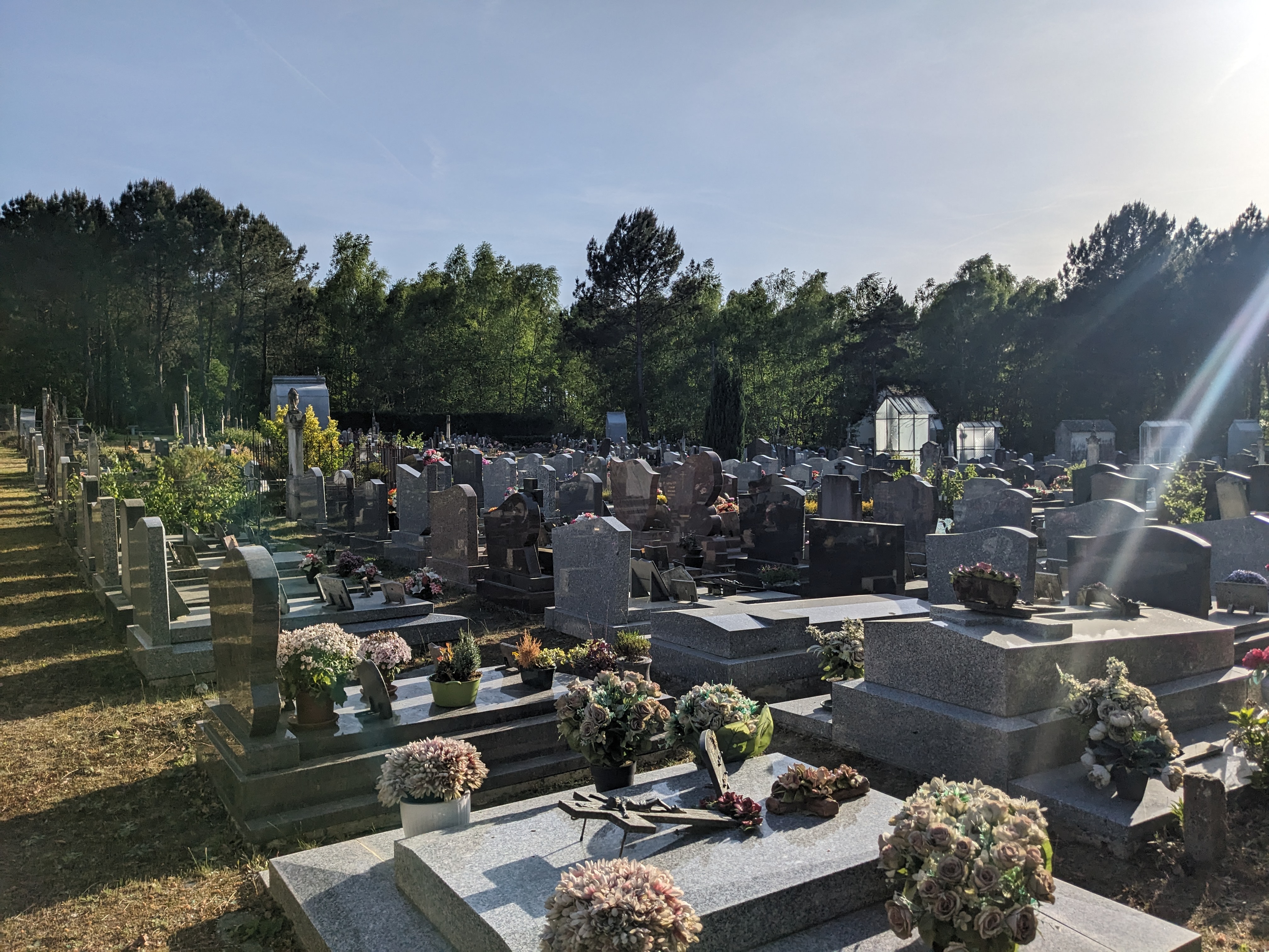 PXL 20260421 165605126