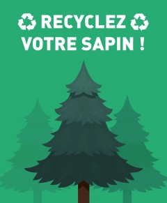 SAPIN recyclé