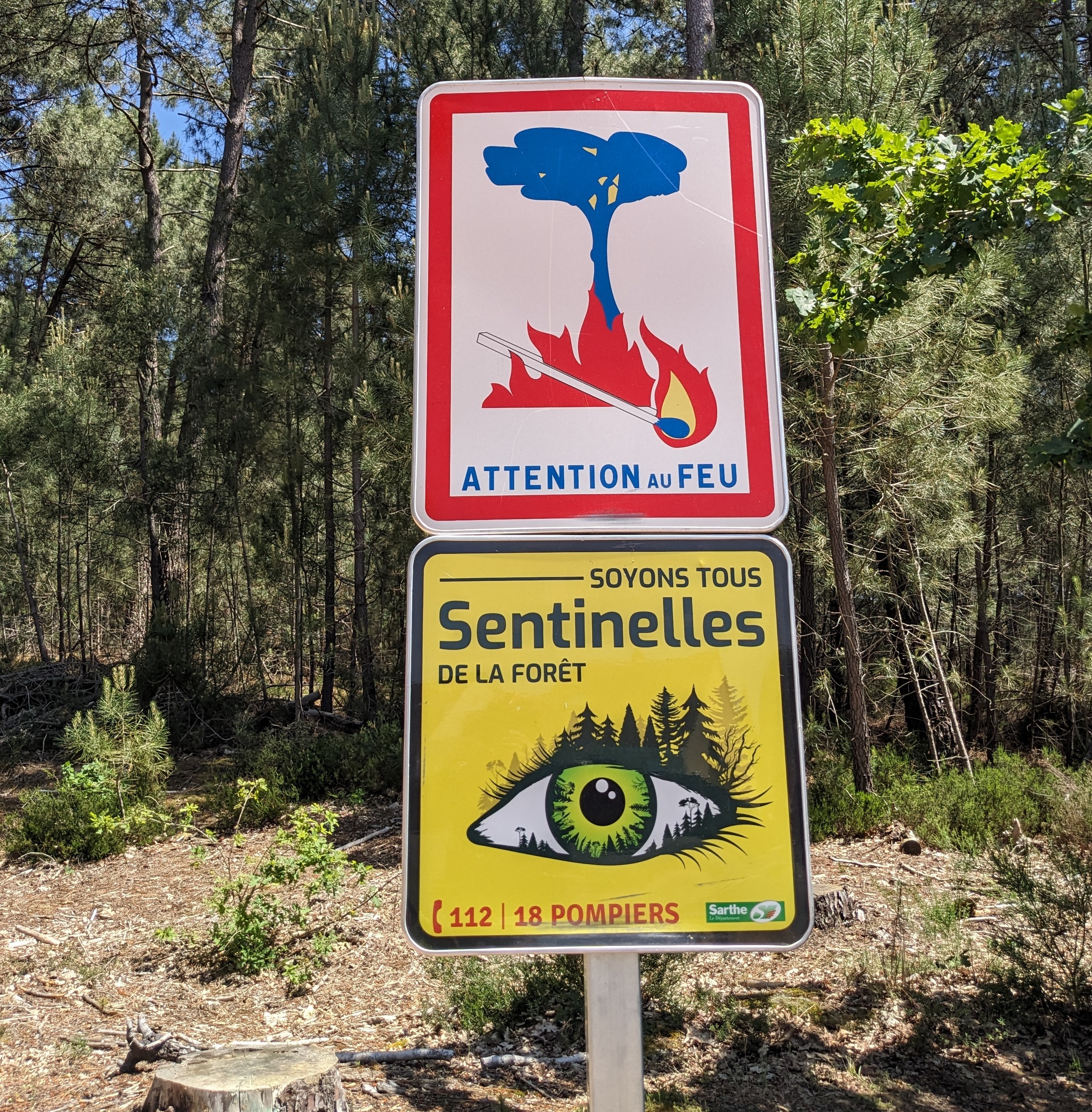Sentinelles foret carre