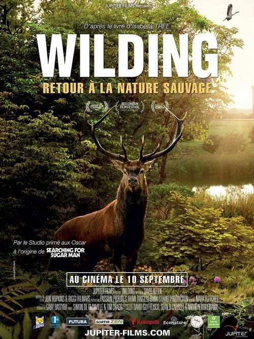 Wilding, retour à la nature sauvage