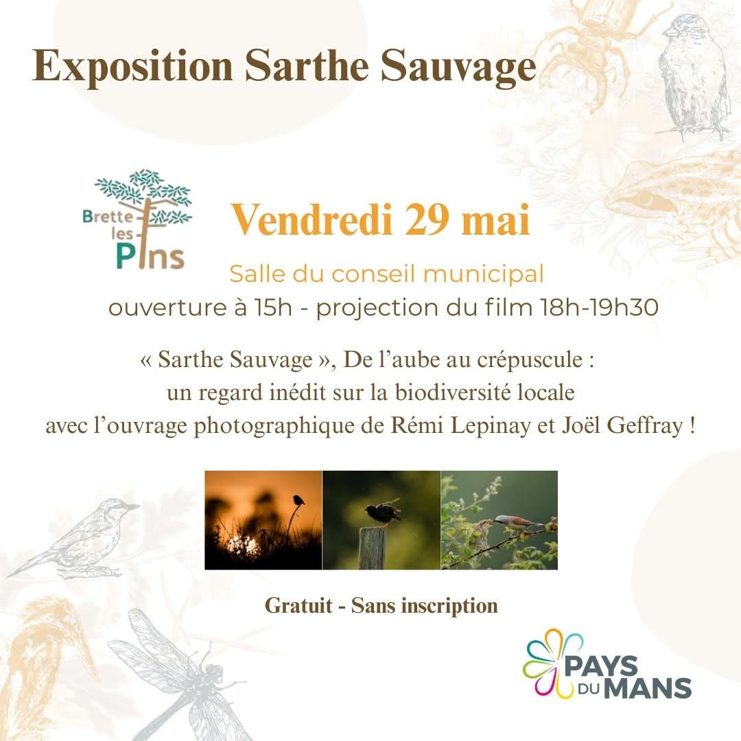 Exposition et projection